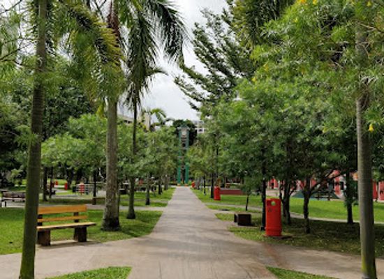 singapore/tampines/attraction/tampines-central-park