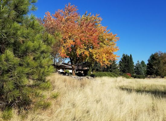washington/spokane/attraction/drumheller-springs-historical-park
