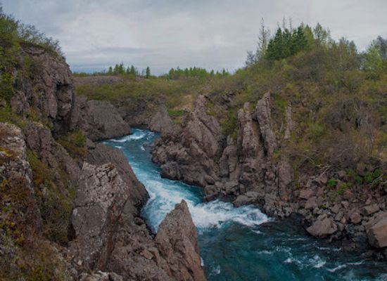 iceland/egilsstadir/attraction/selskogur