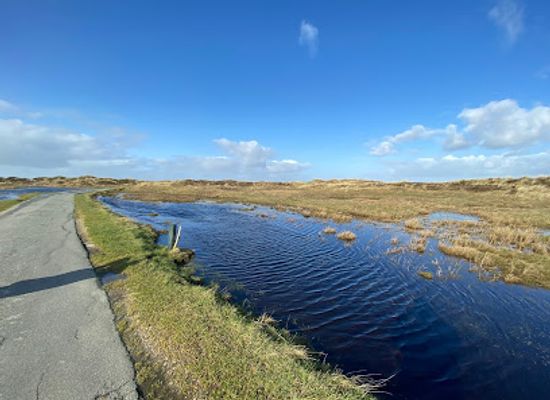 denmark/west-jutland/attraction/skallingen-strand
