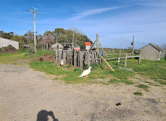 massachusetts/martha-s-vineyard/attraction/the-farm-institute