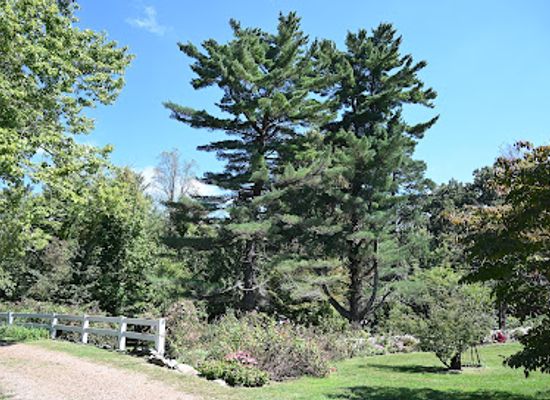 tennessee/chattanooga-valley/attraction/mccoy-farm-gardens