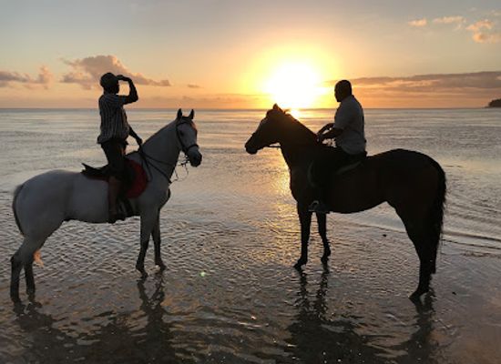 mauritius/savanne/attraction/centre-equestre-de-riambel