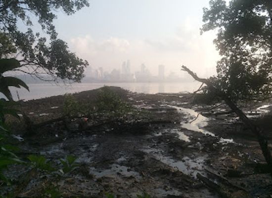 singapore/north-region/attraction/kranji-mudflats