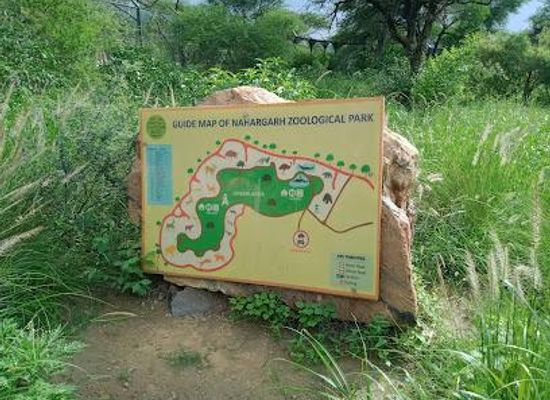 india/jaipur/attraction/nahargarh-biological-park