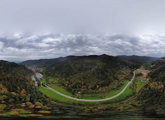 germany/freiburg/attraction/tallest-tree-in-germany