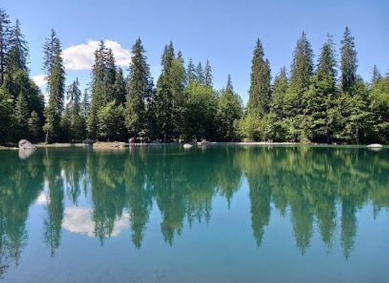 france/chamonix/attraction/lac-vert