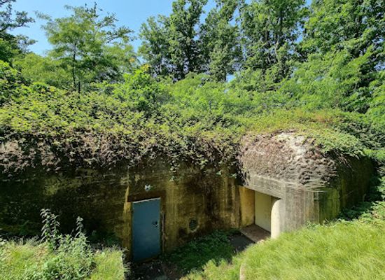 belgium/antwerpse-kempen/attraction/bunker-museum-antwerpen