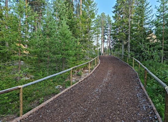 sweden/norrland/attraction/expedition-vargnatt-jarvzoo