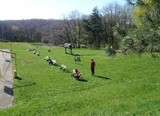 serbia/fruska-gora-national-park/attraction/letenka