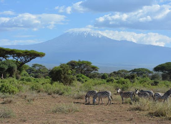kenya/kilimanjaro-region/attraction/tsavo-west-national-park