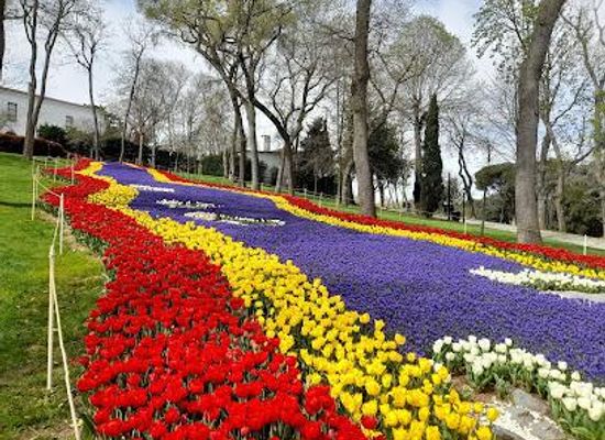 turkiye/istanbul/attraction/ibb-emirgan-grove