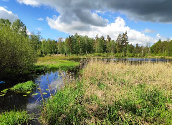 sweden/vastergotland/attraction/kungajaktmuseet-algens-berg