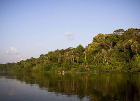 colombia/vaupes-department/attraction/parque-nacional-natural-yaigoje-apaporis