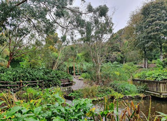 united-kingdom/wigtownshire/attraction/logan-botanic-garden
