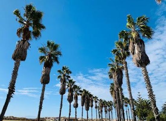 california/oxnard/attraction/oxnard-state-beach-park