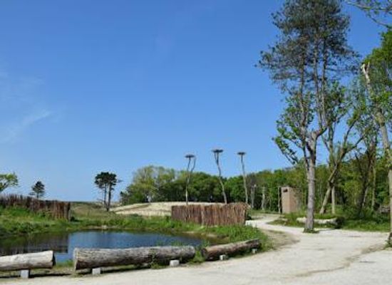 belgium/de-haan/attraction/zwin-natuur-park