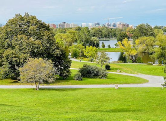 canada/ottawa/hintonburg/attraction/dominion-arboretum