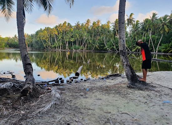 maldives/raa-atoll/attraction/mangrove