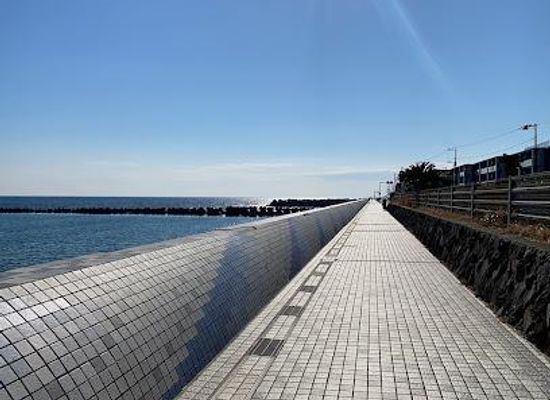 japan/sagami/attraction/kamakura-seaside-park-sakanoshita-area