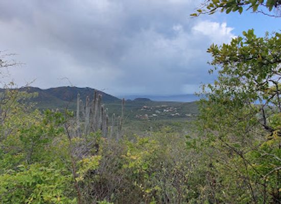 curacao/westpunt/attraction/viewpoint