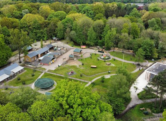 netherlands/groningen/attraction/kinderboerderij-stadspark