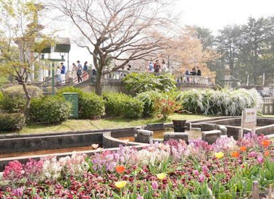 japan/nagoya/attraction/tsuruma-park
