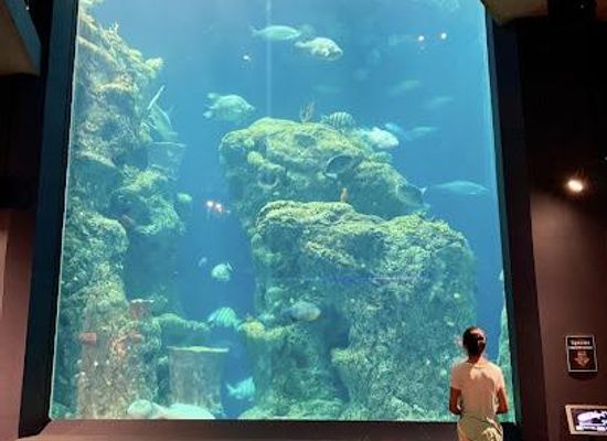 michigan/mount-pleasant/attraction/south-carolina-aquarium
