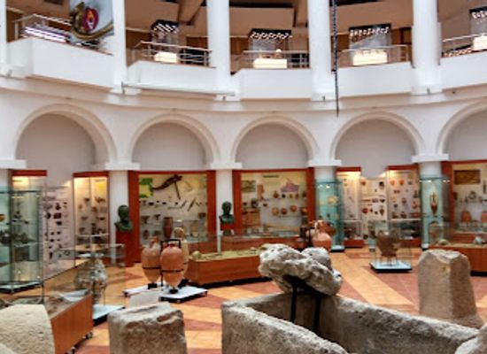 romania/galati/attraction/paul-paltanea-history-museum