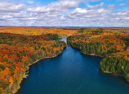 canada/ottawa-valley/attraction/ruines-carbide-willson
