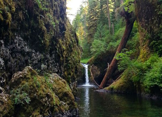 oregon/cascade-range/attraction/punch-bowl-falls