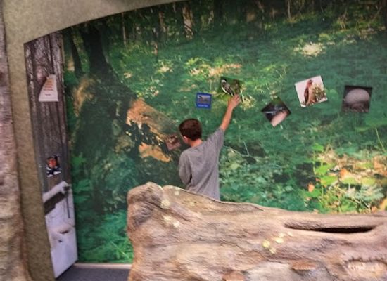 ohio/miami-valley/attraction/hefner-museum-of-natural-history