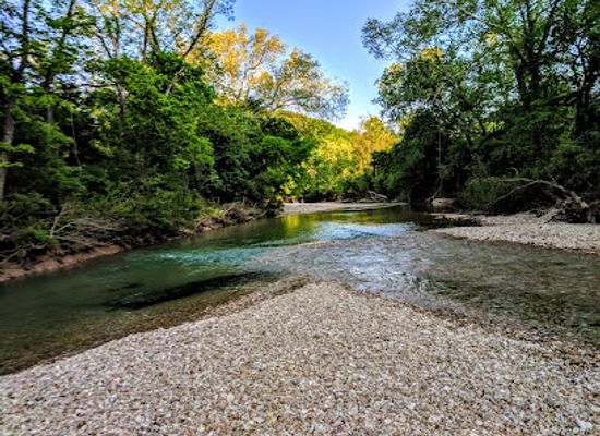 missouri/ozarks/attraction/busiek-state-forest-and-wildlife-area