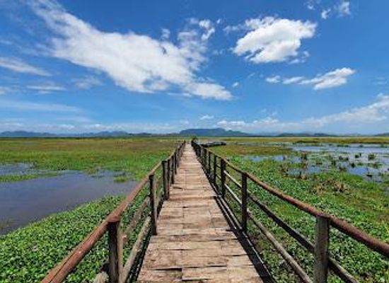 costa-rica/guanacaste/attraction/parque-nacional-palo-verde