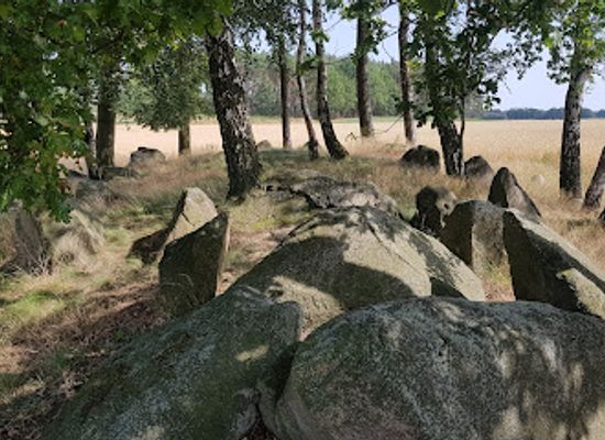 germany/altmark/attraction/grosssteingrab-molmke