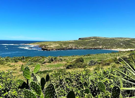 madagascar/fort-dauphin/attraction/andrahoma
