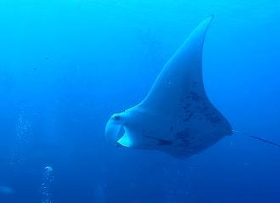 palau/ngatpang/attraction/german-channel