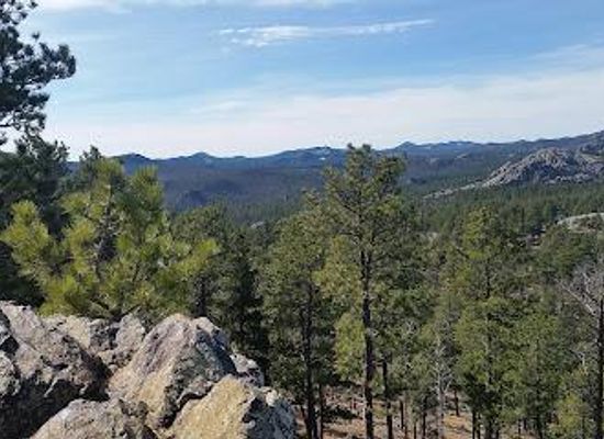 south-dakota/mount-rushmore/attraction/us-16a