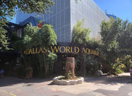 texas/dallas/attraction/the-dallas-world-aquarium