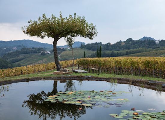 slovenia/gorizia/attraction/gravner