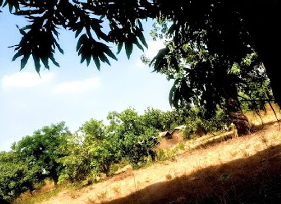 togo/sokode/attraction/kassena