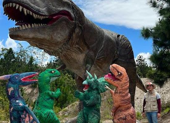 colombia/tunja/attraction/gondava-the-great-valley-of-the-dinosaur