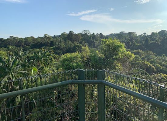 singapore/singapore/attraction/jelutong-tower