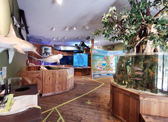 florida/jupiter/attraction/the-river-center