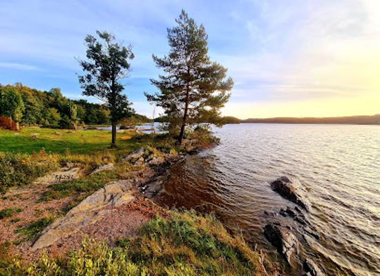 sweden/dalsland/attraction/hogsbyns-hallristningsomrade