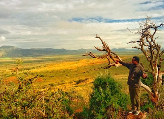 kenya/mount-kenya-region/attraction/lolldaiga-main-gate