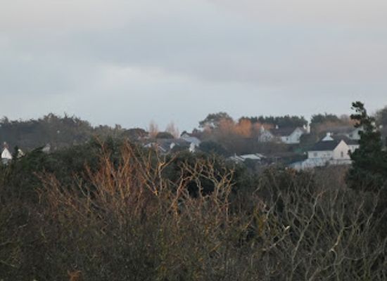 guernsey/castel/attraction/saumarez-park-nature-trail