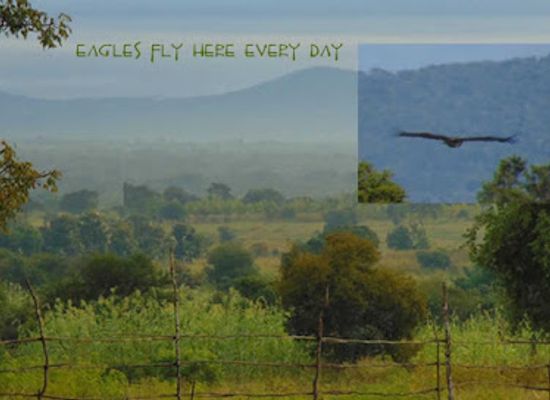 tanzania/mikumi-national-park/attraction/eagle-view-lodge