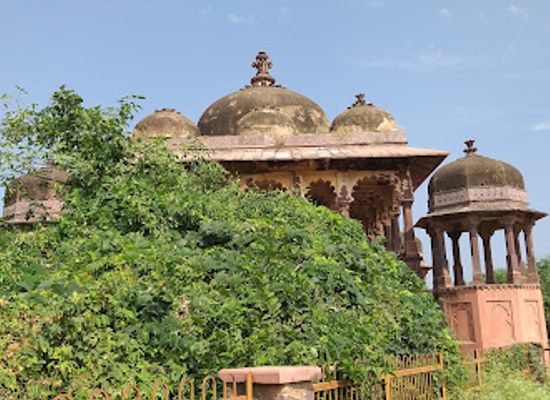 india/ranthambore/attraction/32-pillars-chhatri
