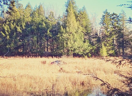 vermont/sugarbush-resort/attraction/eurich-pond-trailhead